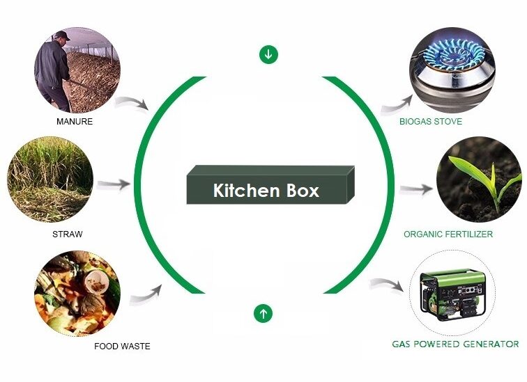 D-olivette Product - 20 climate tech startups to watch in Africa