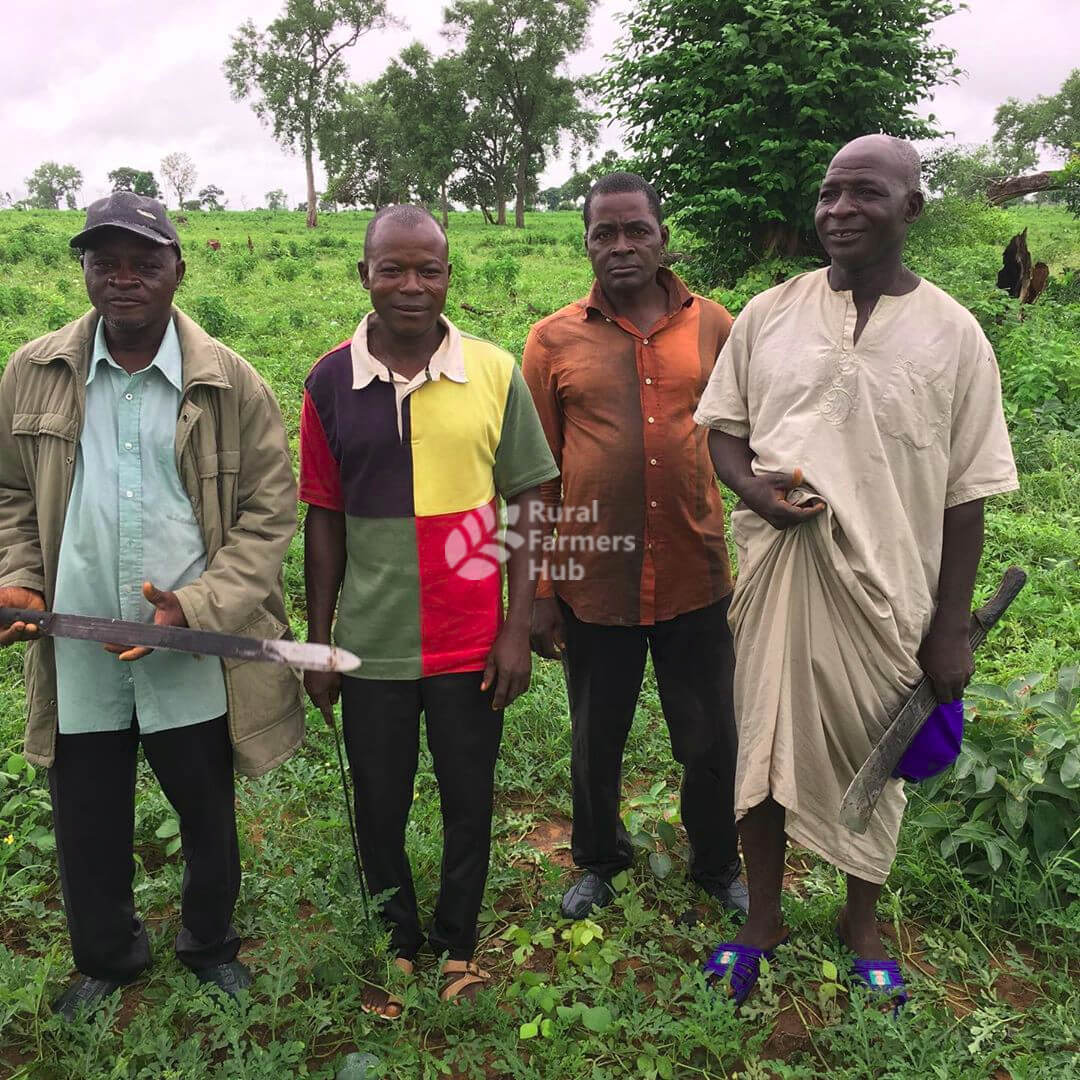 rural farmers hub - 20 climate tech startups to watch in Africa