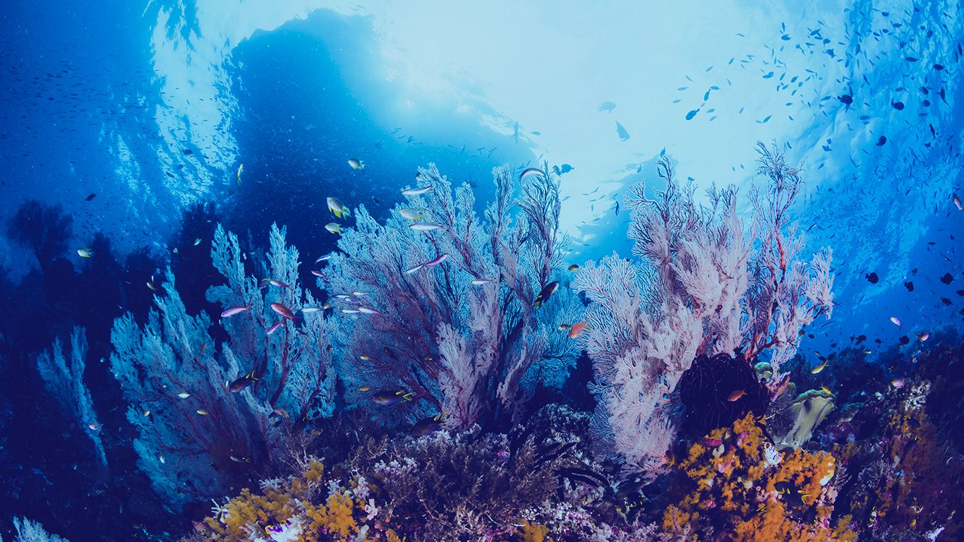 Reefy image climate tech startups to watch