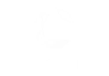 white_logo_correntics white_logo_correntics