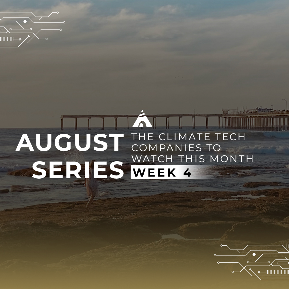 August week 4