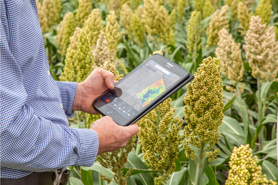 Data farming climate tech startup solution