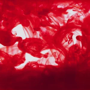 hp_sq.02