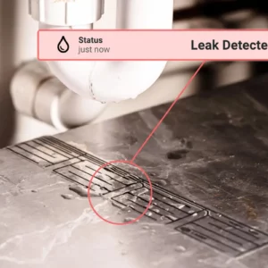 water-leak-detection-notification-1200x800px