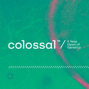 itiscolossal_cover
