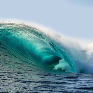 calwave_cover-1
